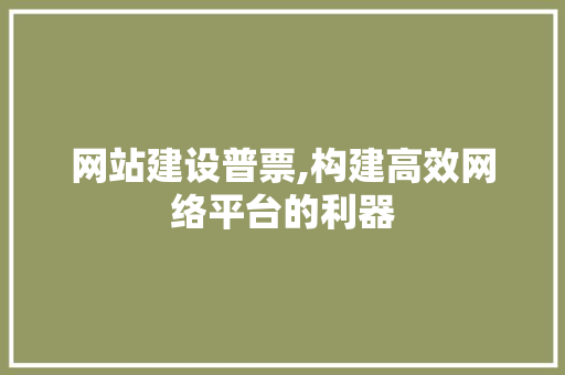 网站建设普票,构建高效网络平台的利器