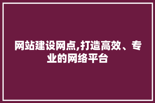 网站建设网点,打造高效、专业的网络平台