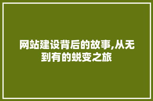 网站建设背后的故事,从无到有的蜕变之旅