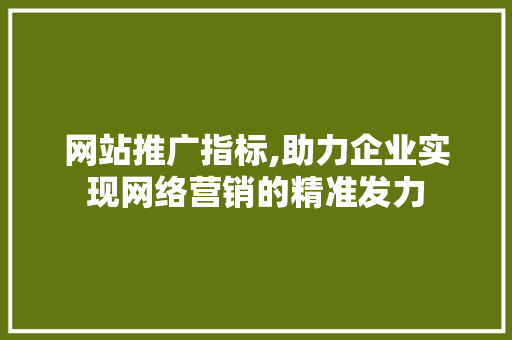 网站推广指标,助力企业实现网络营销的精准发力