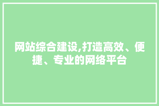 网站综合建设,打造高效、便捷、专业的网络平台