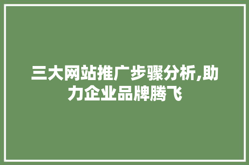 三大网站推广步骤分析,助力企业品牌腾飞  第1张