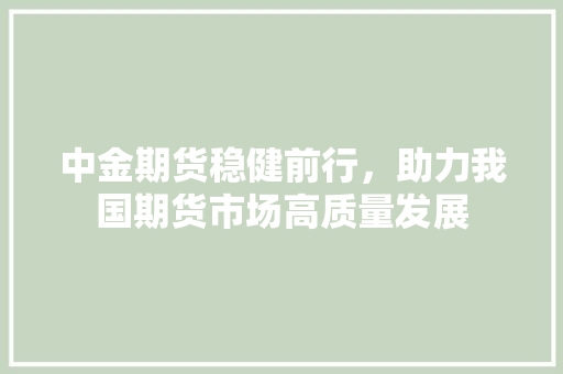 中金期货稳健前行，助力我国期货市场高质量发展