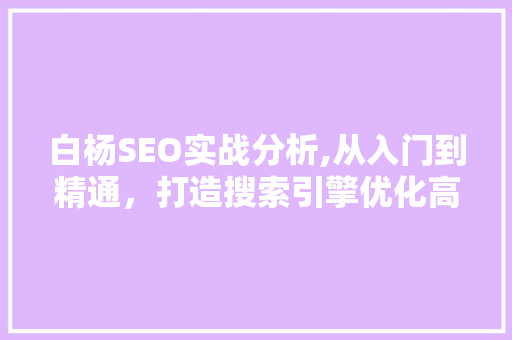 白杨SEO实战分析,从入门到精通，打造搜索引擎优化高手