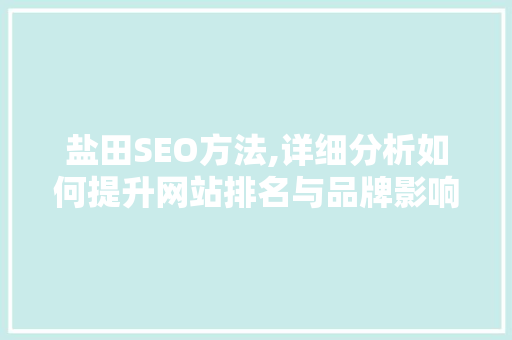 盐田SEO方法,详细分析如何提升网站排名与品牌影响力