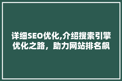 详细SEO优化,介绍搜索引擎优化之路，助力网站排名飙升