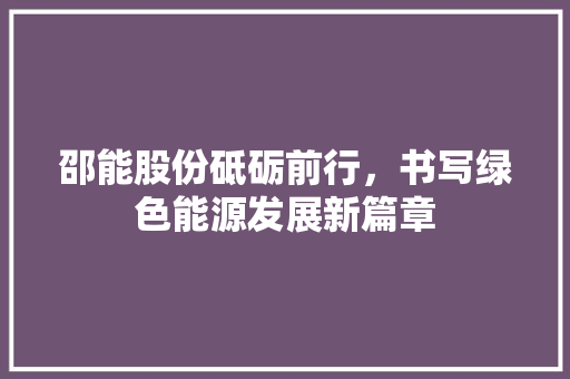 邵能股份砥砺前行，书写绿色能源发展新篇章