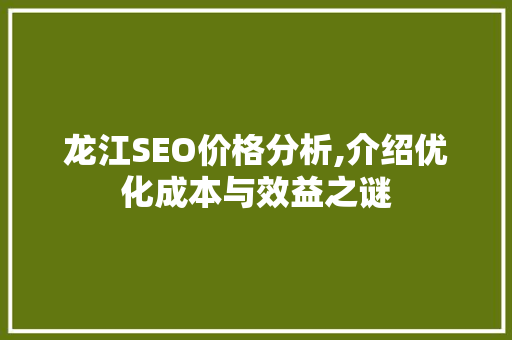 龙江SEO价格分析,介绍优化成本与效益之谜