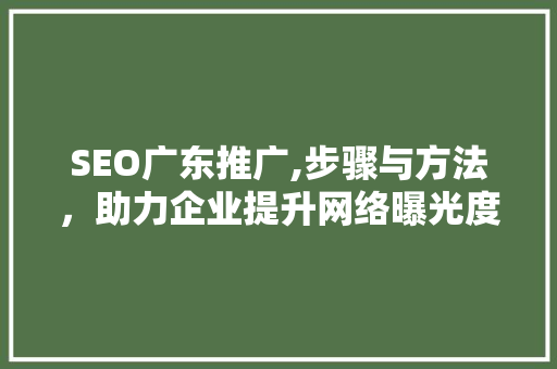 SEO广东推广,步骤与方法，助力企业提升网络曝光度