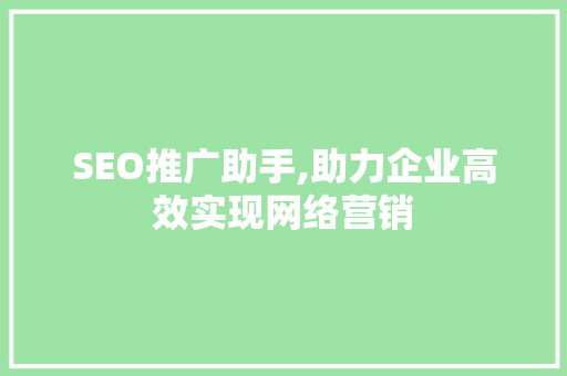 SEO推广助手,助力企业高效实现网络营销