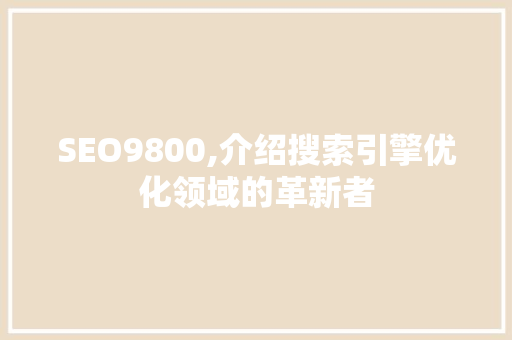 SEO9800,介绍搜索引擎优化领域的革新者