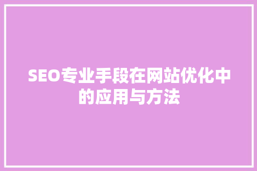 SEO专业手段在网站优化中的应用与方法  第1张