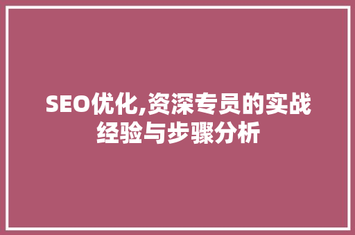 SEO优化,资深专员的实战经验与步骤分析