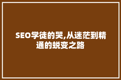 SEO学徒的哭,从迷茫到精通的蜕变之路