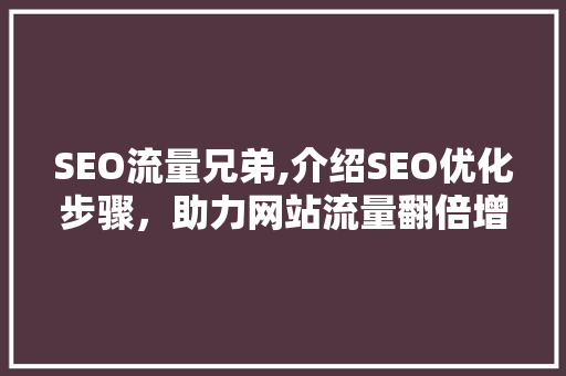 SEO流量兄弟,介绍SEO优化步骤，助力网站流量翻倍增长  第1张