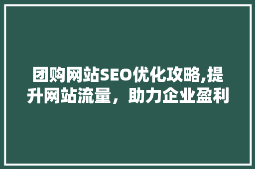 团购网站SEO优化攻略,提升网站流量，助力企业盈利  第1张