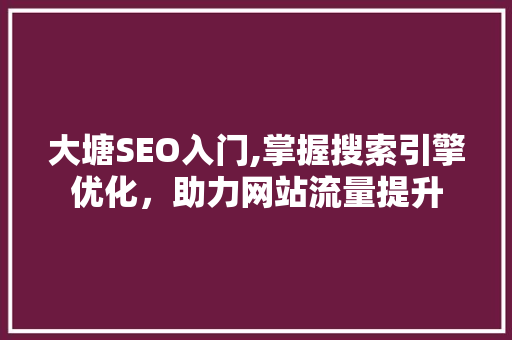 大塘SEO入门,掌握搜索引擎优化，助力网站流量提升