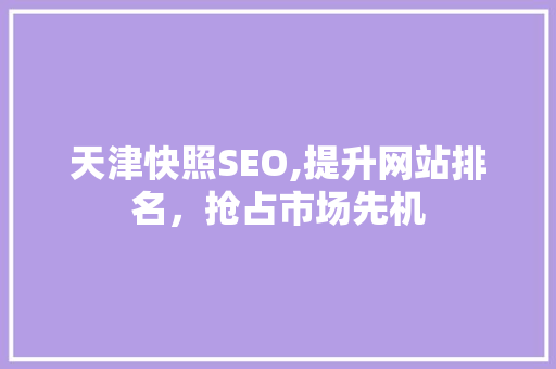 天津快照SEO,提升网站排名，抢占市场先机