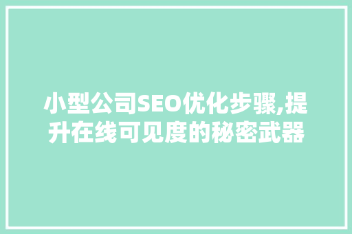 小型公司SEO优化步骤,提升在线可见度的秘密武器