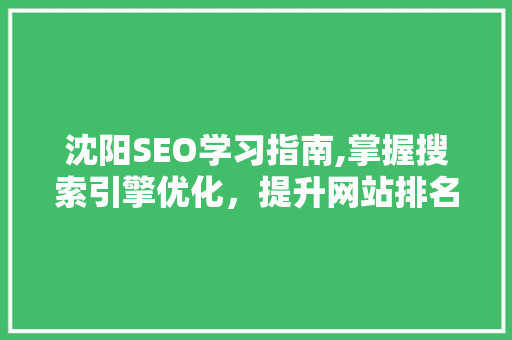 沈阳SEO学习指南,掌握搜索引擎优化，提升网站排名