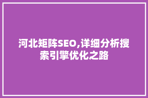 河北矩阵SEO,详细分析搜索引擎优化之路