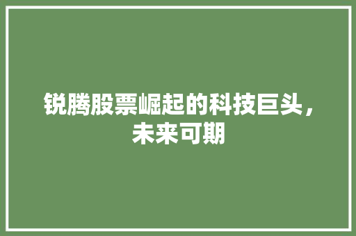锐腾股票崛起的科技巨头，未来可期