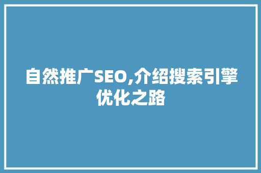 自然推广SEO,介绍搜索引擎优化之路