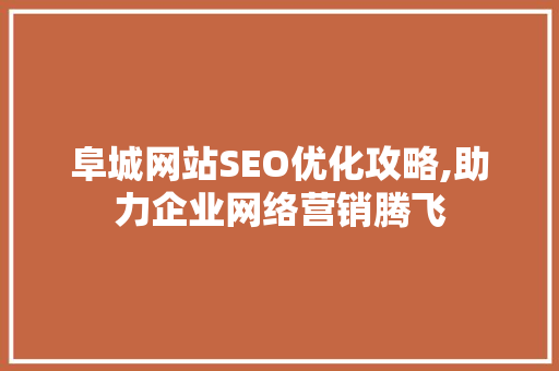 阜城网站SEO优化攻略,助力企业网络营销腾飞