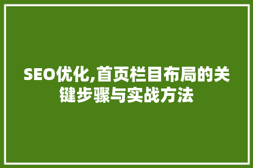 SEO优化,首页栏目布局的关键步骤与实战方法