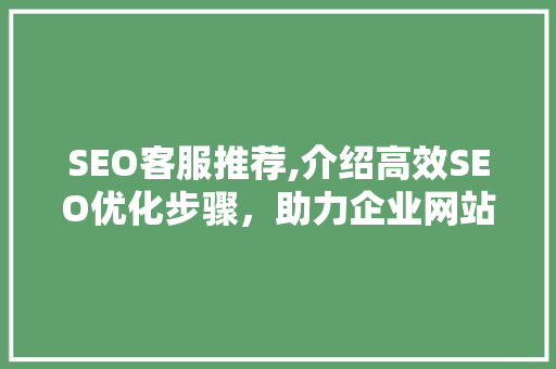 SEO客服推荐,介绍高效SEO优化步骤，助力企业网站排名攀升