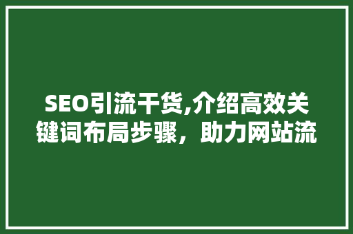 SEO引流干货,介绍高效关键词布局步骤，助力网站流量提升