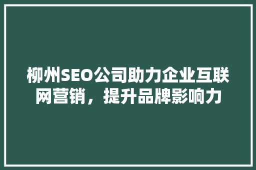 柳州SEO公司助力企业互联网营销，提升品牌影响力
