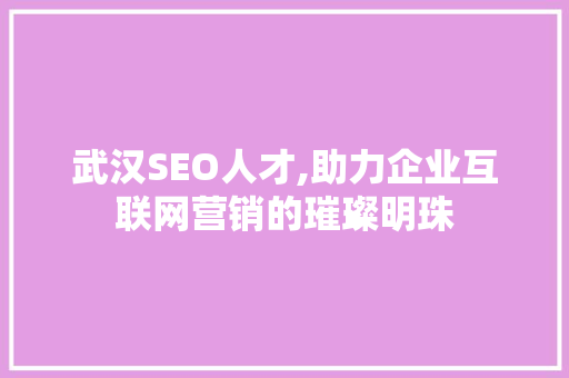 武汉SEO人才,助力企业互联网营销的璀璨明珠