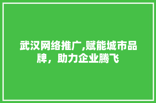 武汉网络推广,赋能城市品牌，助力企业腾飞