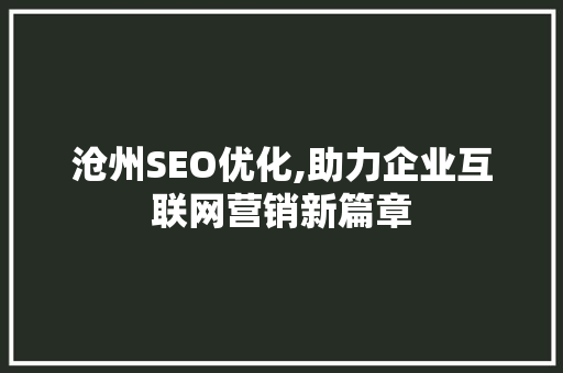 沧州SEO优化,助力企业互联网营销新篇章  第1张