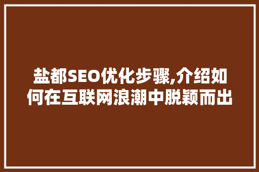 盐都SEO优化步骤,介绍如何在互联网浪潮中脱颖而出  第1张