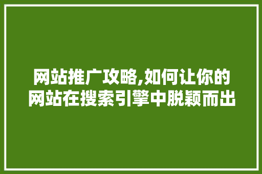 网站推广攻略,如何让你的网站在搜索引擎中脱颖而出