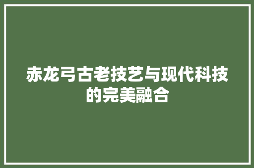 赤龙弓古老技艺与现代科技的完美融合