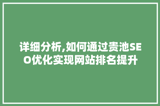 详细分析,如何通过贵池SEO优化实现网站排名提升  第1张
