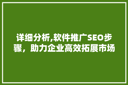 详细分析,软件推广SEO步骤，助力企业高效拓展市场  第1张