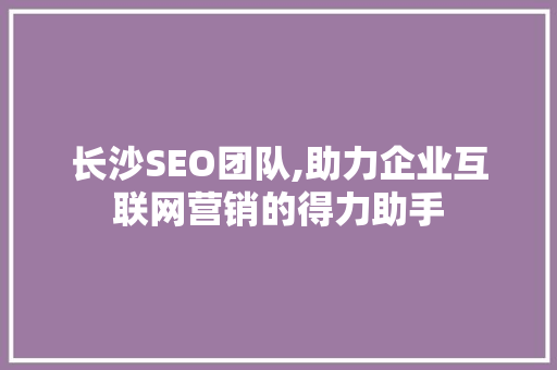 长沙SEO团队,助力企业互联网营销的得力助手  第1张
