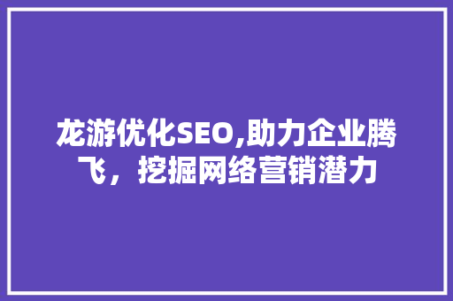 龙游优化SEO,助力企业腾飞，挖掘网络营销潜力