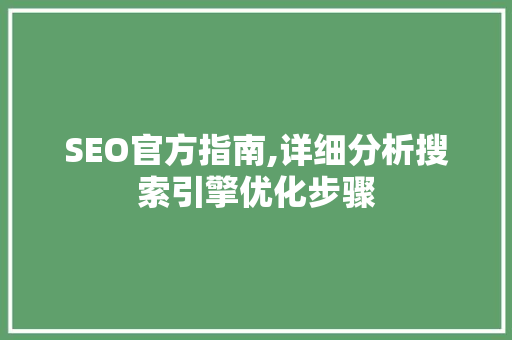 SEO官方指南,详细分析搜索引擎优化步骤