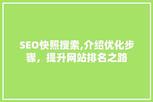 SEO快照搜索,介绍优化步骤，提升网站排名之路