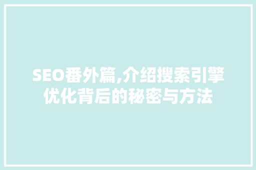 SEO番外篇,介绍搜索引擎优化背后的秘密与方法