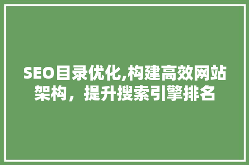 SEO目录优化,构建高效网站架构，提升搜索引擎排名  第1张