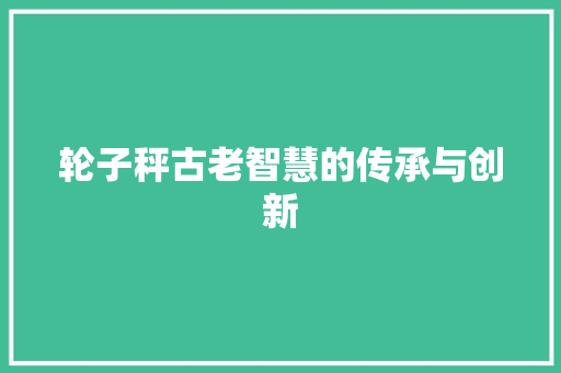 轮子秤古老智慧的传承与创新