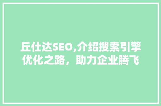 丘仕达SEO,介绍搜索引擎优化之路，助力企业腾飞