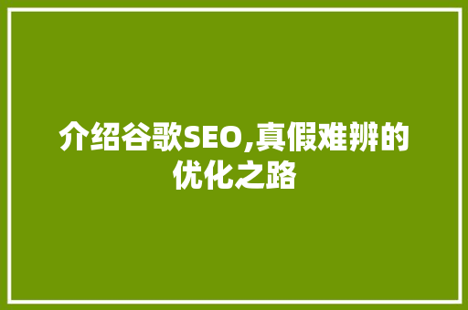 介绍谷歌SEO,真假难辨的优化之路