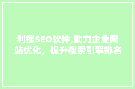 利搜SEO软件,助力企业网站优化，提升搜索引擎排名